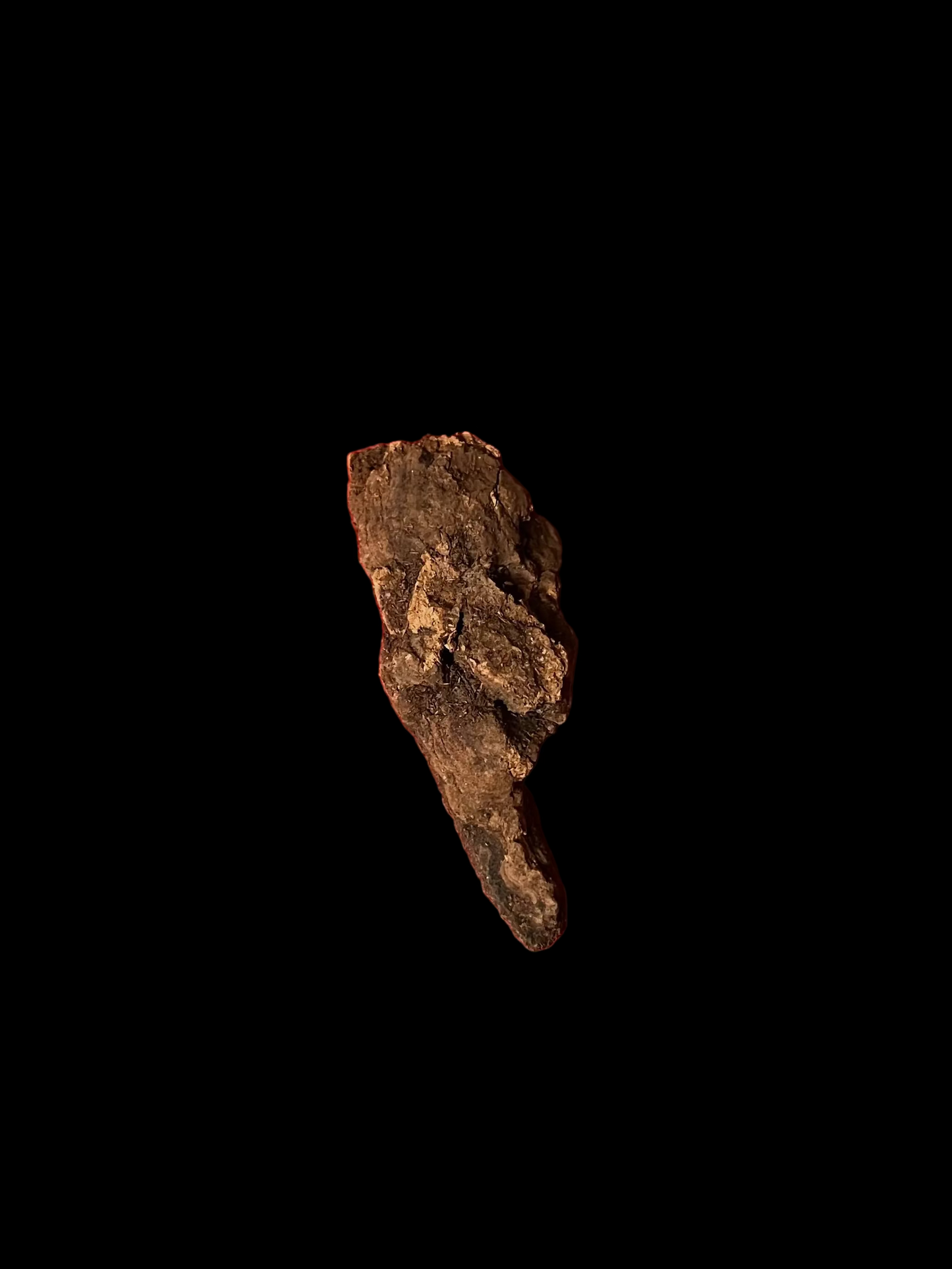 Jezebel Root
