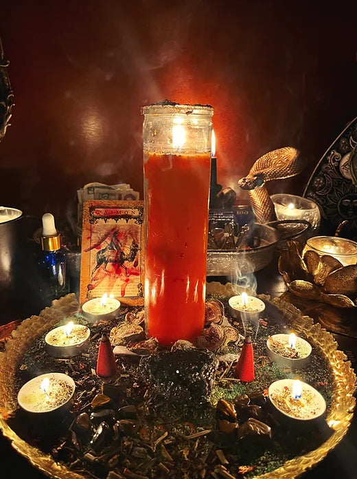 King Paimon's Road to Success
